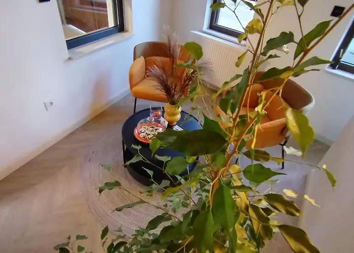 Karlovcanka Smestaj U Centru Sremskih Karlovaca *